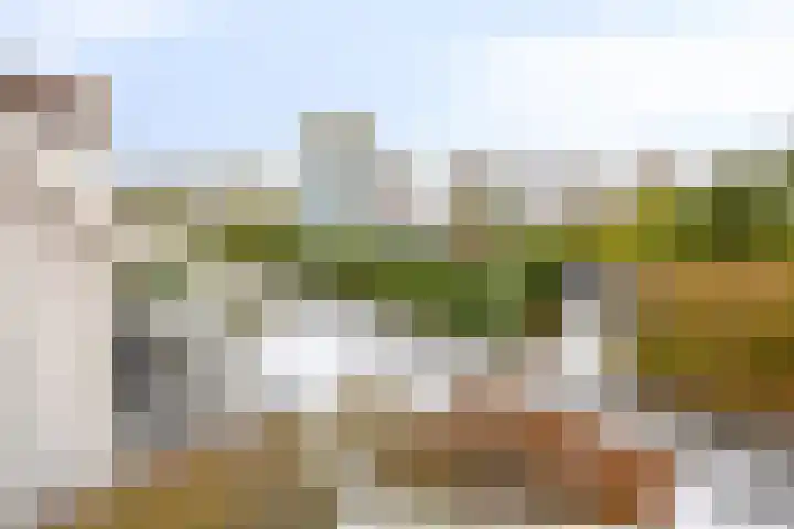 De Heeren van 's-Gravensande 55 's-Gravenzande thumbnail 26