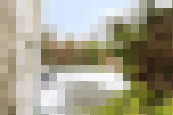 De Heeren van 's-Gravensande 55 's-Gravenzande thumbnail 29