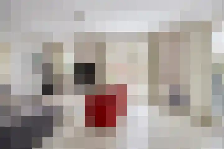 De Heeren van 's-Gravensande 55 's-Gravenzande thumbnail 9