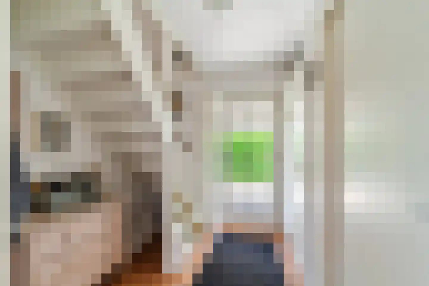 De Heeren van 's-Gravensande 57 's-Gravenzande thumbnail 12
