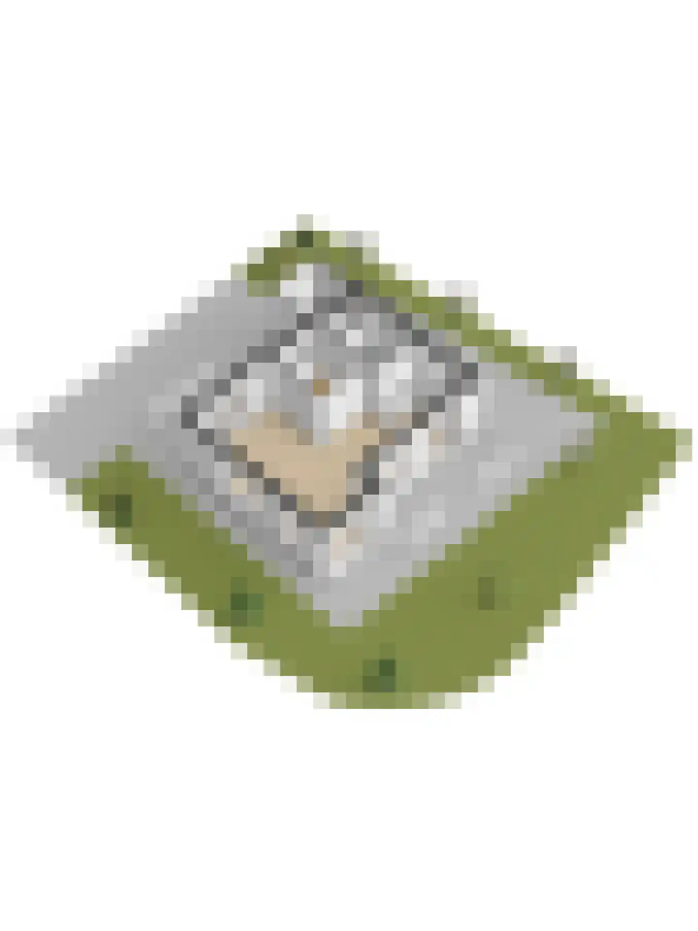 De Heeren van 's-Gravensande 57 's-Gravenzande thumbnail 43