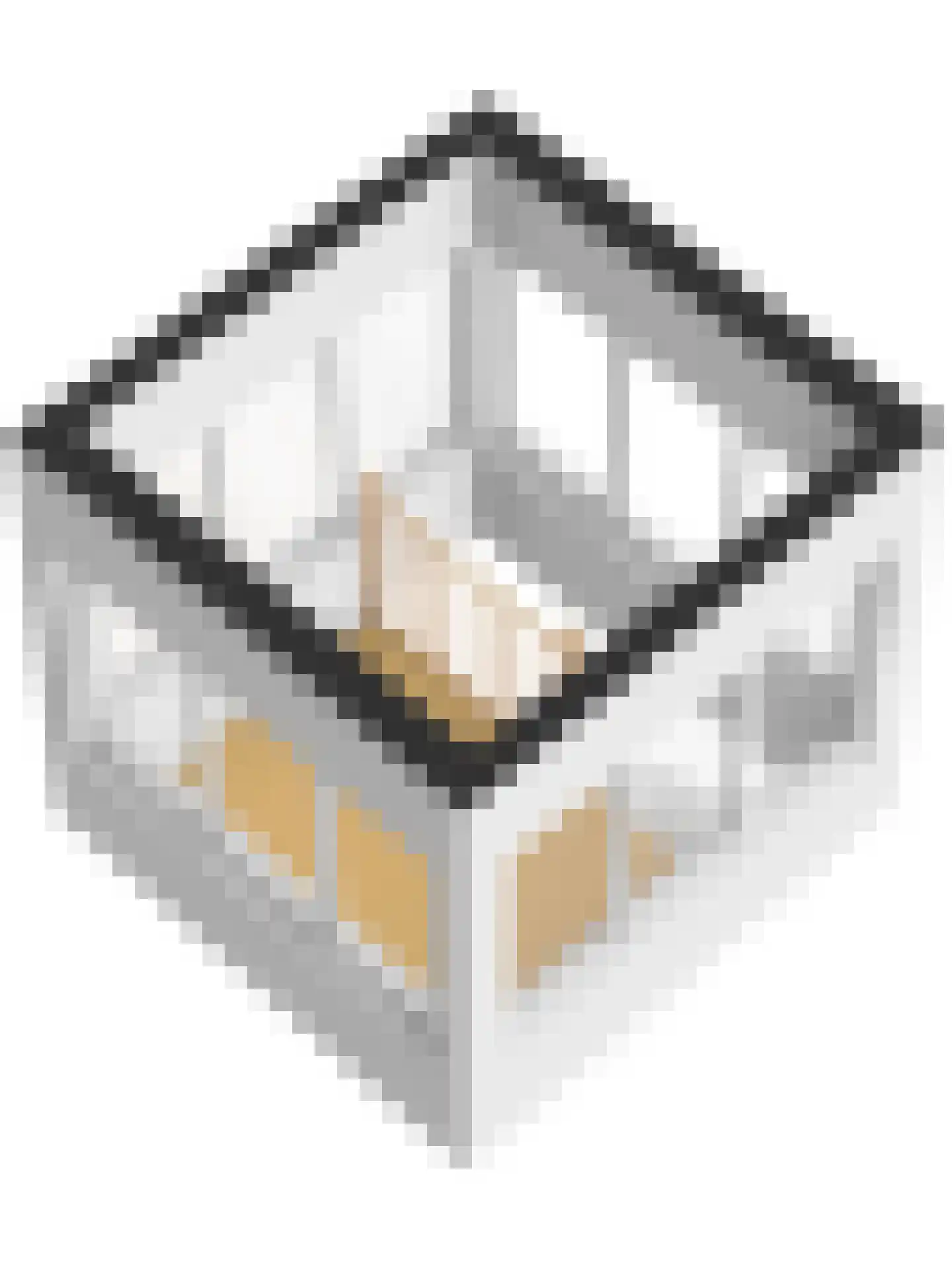De Heeren van 's-Gravensande 57 's-Gravenzande thumbnail 46