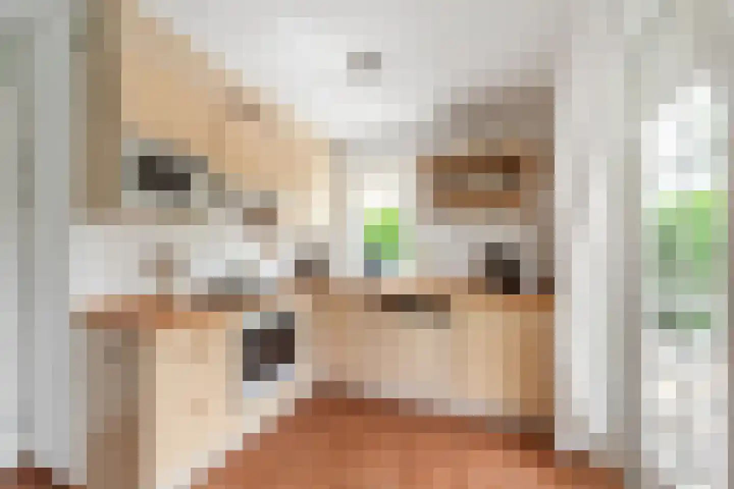 De Heeren van 's-Gravensande 57 's-Gravenzande thumbnail 8