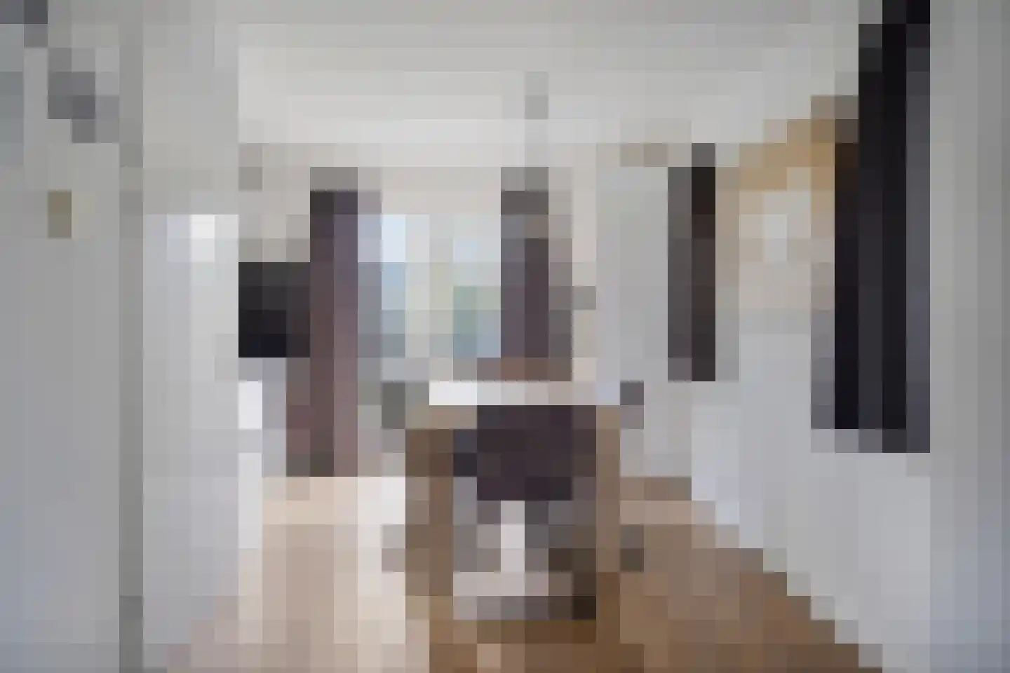 De Heeren van 's-Gravensande 60 's-Gravenzande thumbnail 8