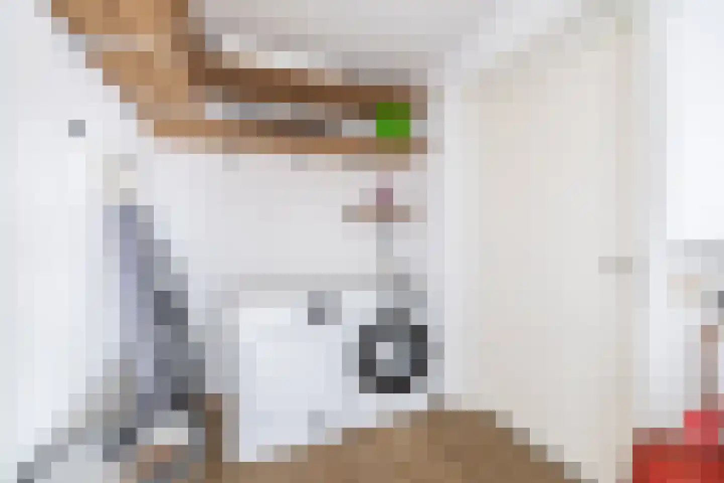 De Heeren van 's-Gravensande 69 's-Gravenzande thumbnail 43
