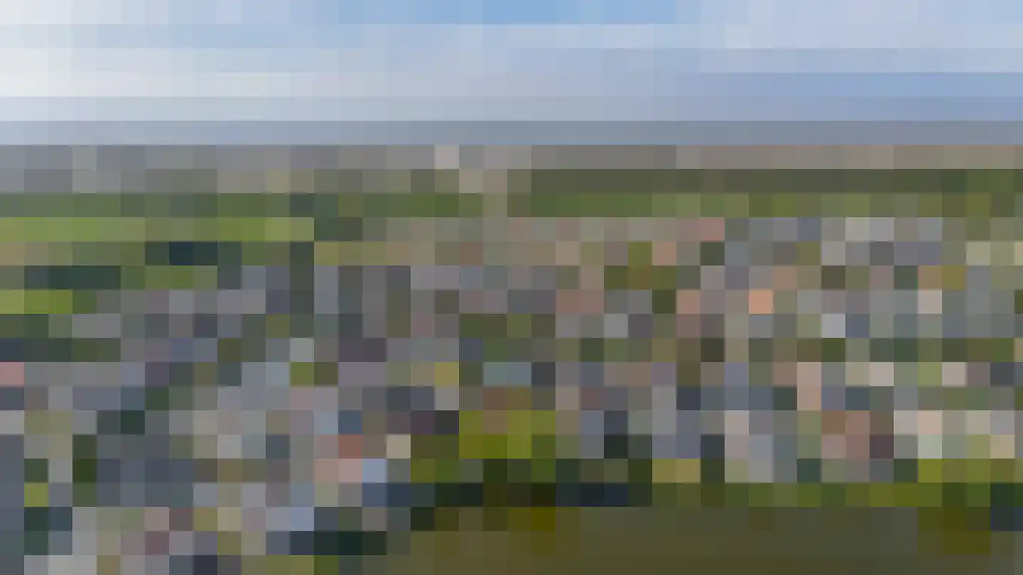 De Heeren van 's-Gravensande 69 's-Gravenzande thumbnail 47