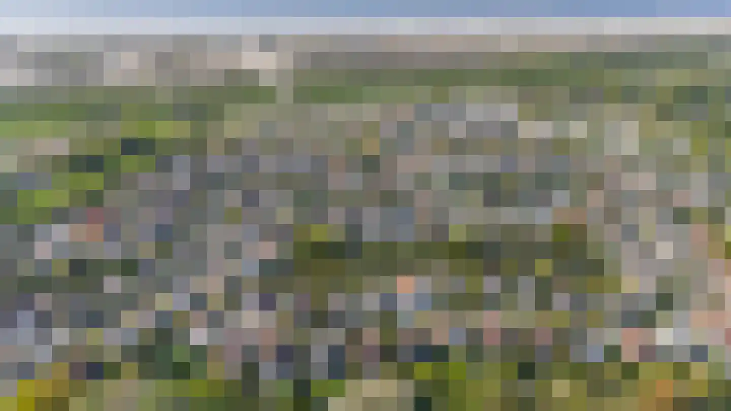 De Heeren van 's-Gravensande 69 's-Gravenzande thumbnail 48