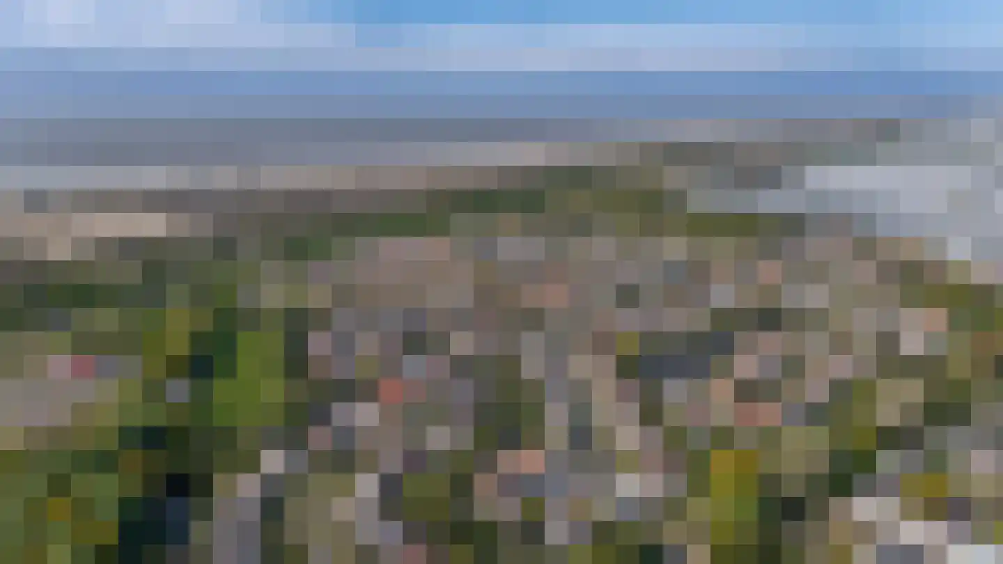De Heeren van 's-Gravensande 69 's-Gravenzande thumbnail 49