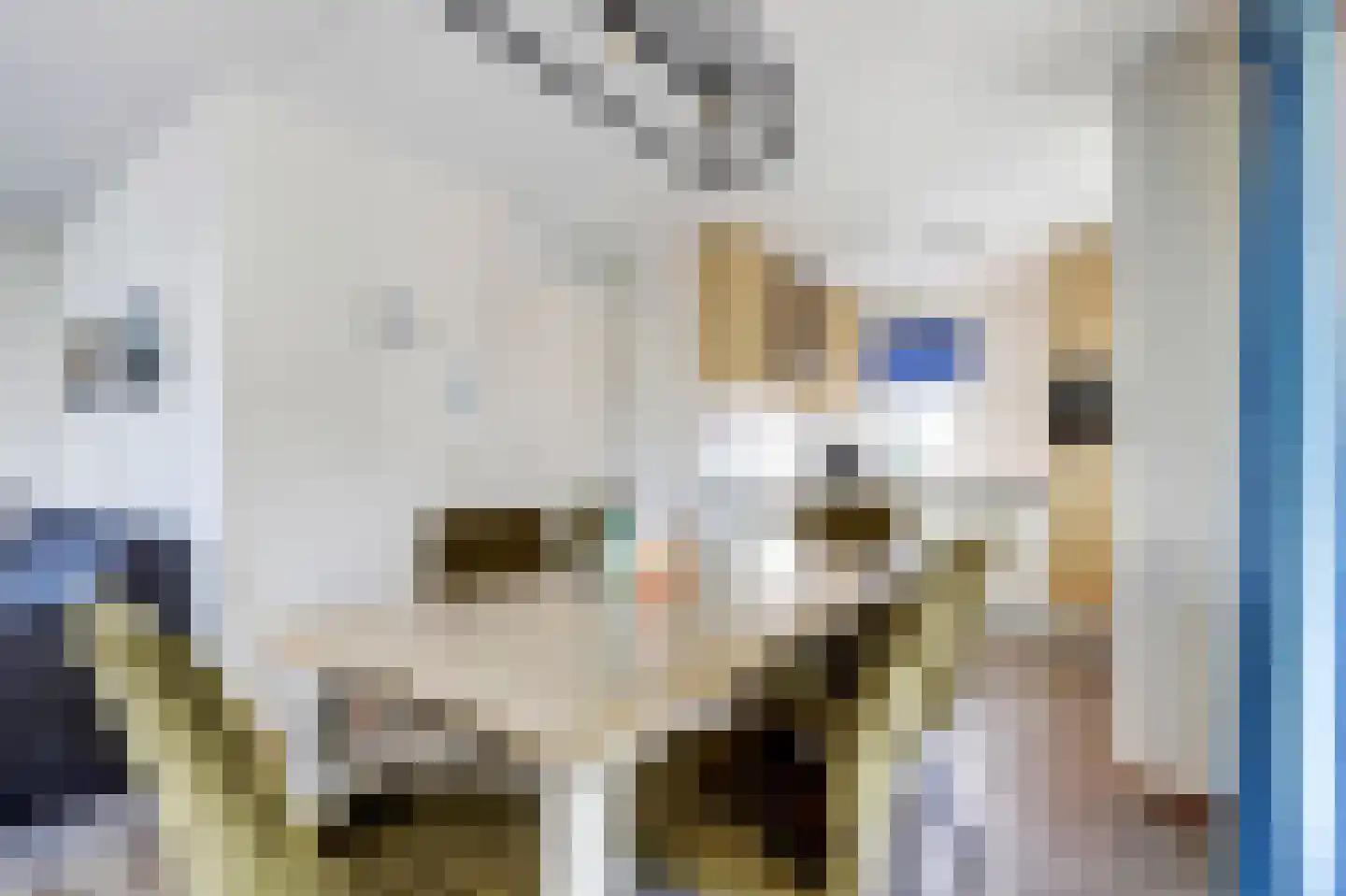 De Heeren van 's-Gravensande 71 's-Gravenzande thumbnail 18