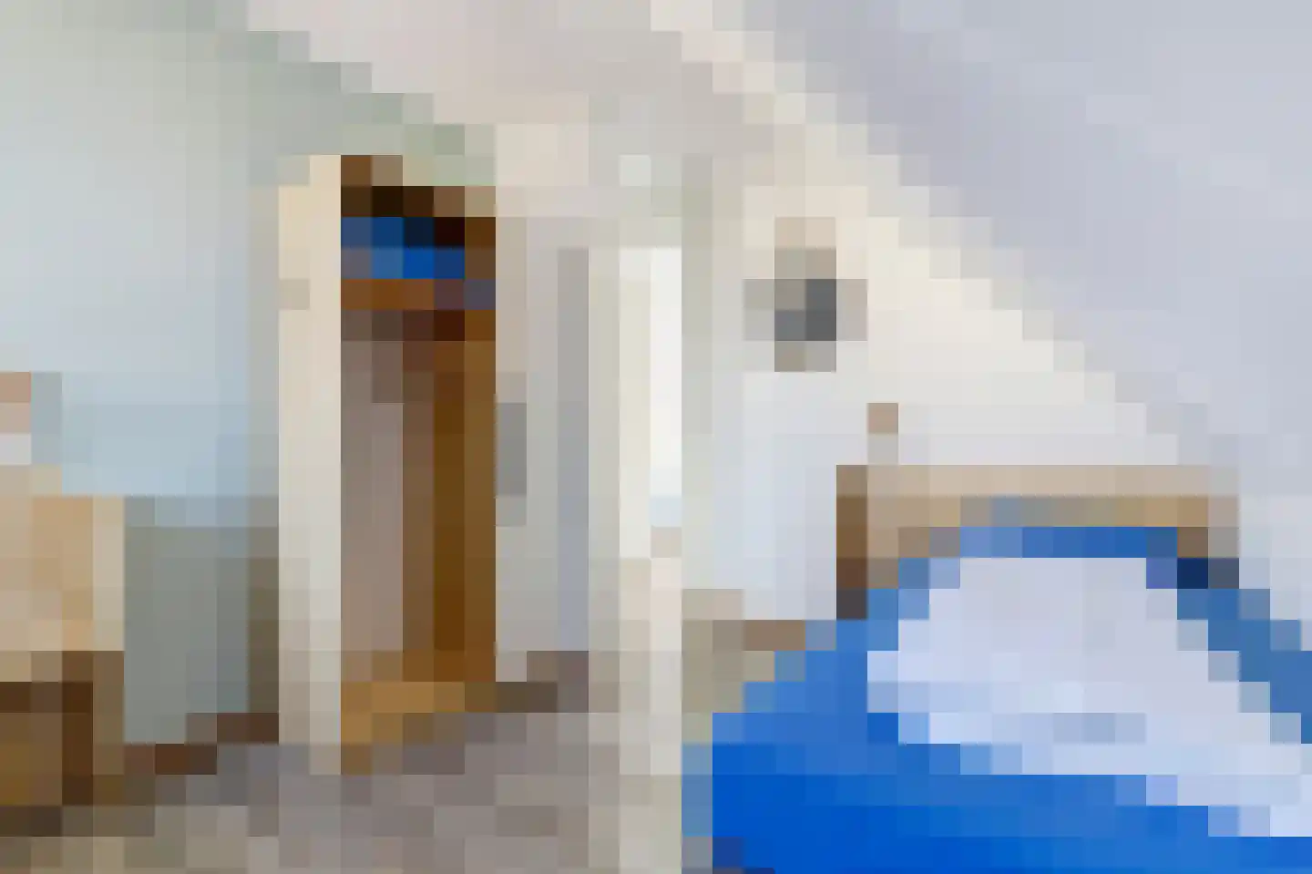 De Heeren van 's-Gravensande 71 's-Gravenzande thumbnail 31