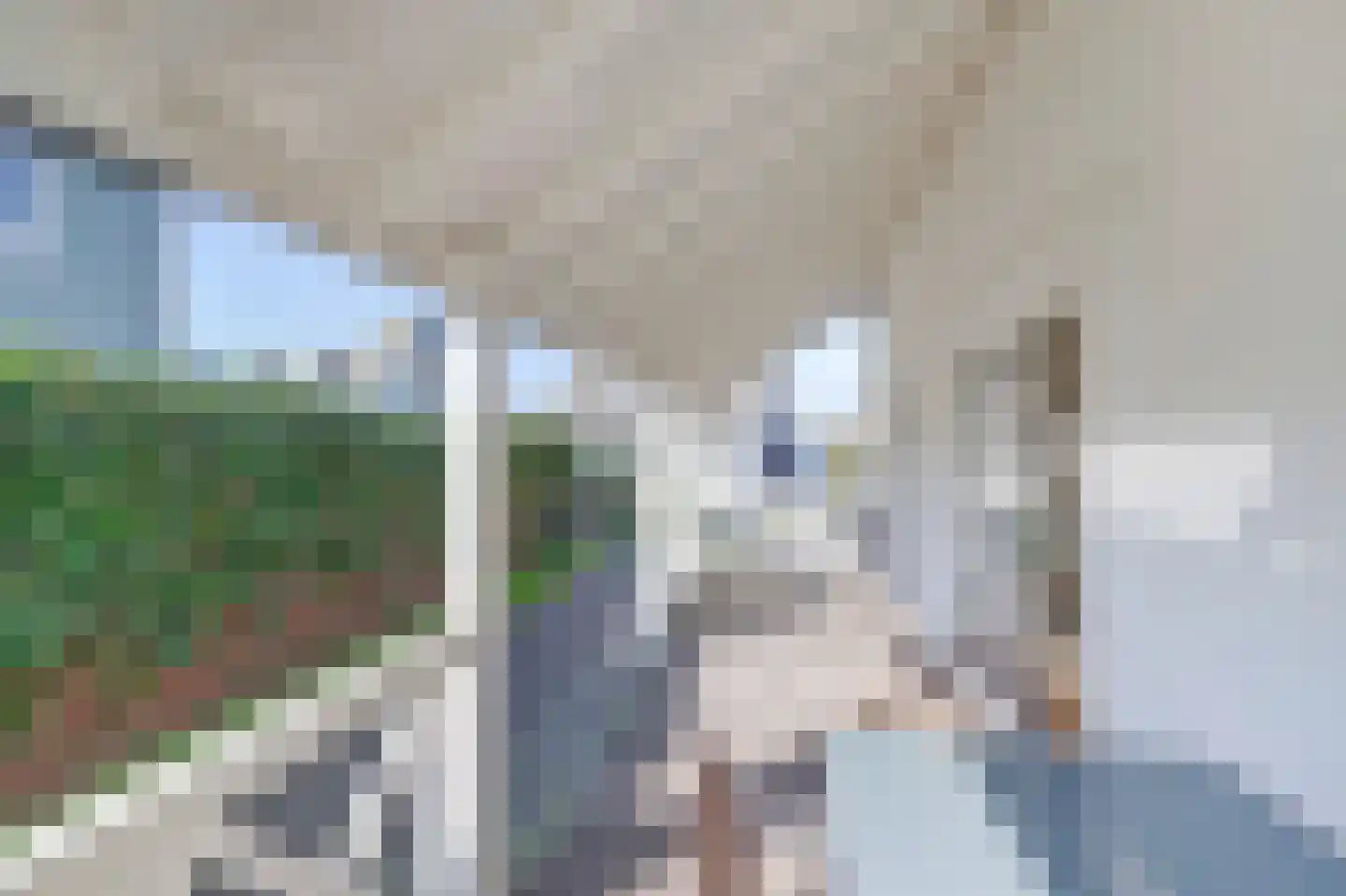 De Heeren van 's-Gravensande 71 's-Gravenzande thumbnail 38
