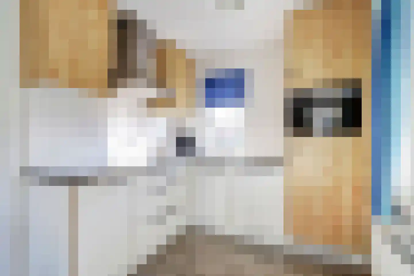 De Heeren van 's-Gravensande 71 's-Gravenzande thumbnail 5