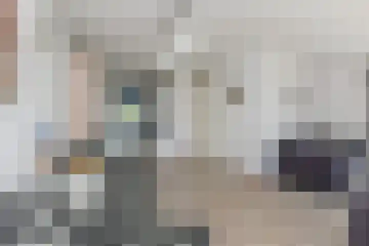 De Heeren van 's-Gravensande 77 's-Gravenzande thumbnail 11