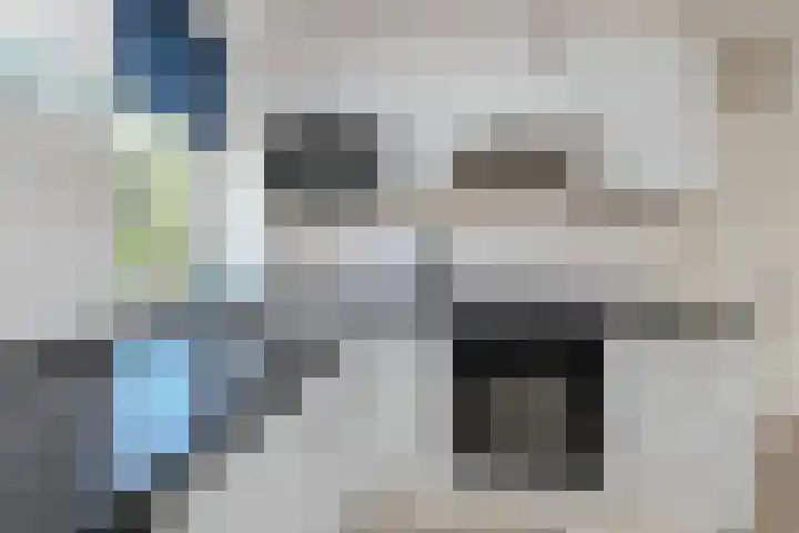 De Heeren van 's-Gravensande 77 's-Gravenzande thumbnail 14