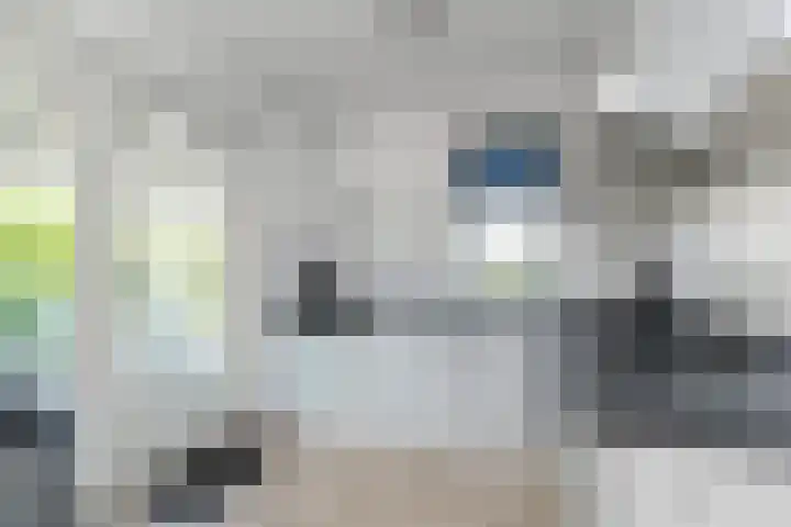 De Heeren van 's-Gravensande 77 's-Gravenzande thumbnail 15