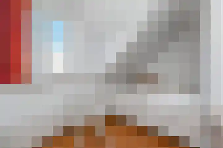 De Heeren van 's-Gravensande 77 's-Gravenzande thumbnail 19