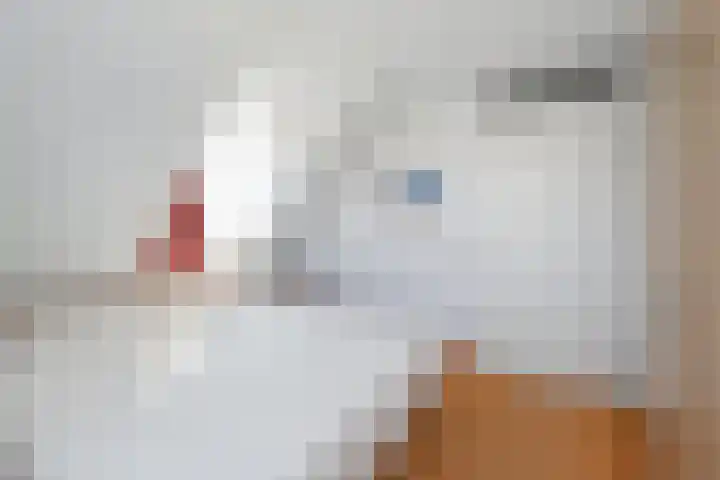 De Heeren van 's-Gravensande 77 's-Gravenzande thumbnail 23