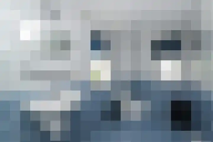 De Heeren van 's-Gravensande 77 's-Gravenzande thumbnail 24