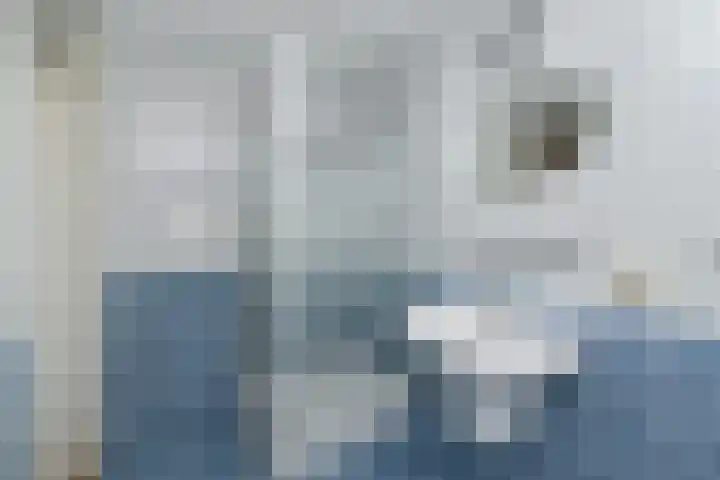 De Heeren van 's-Gravensande 77 's-Gravenzande thumbnail 25