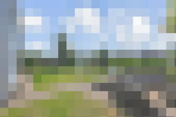 De Heeren van 's-Gravensande 77 's-Gravenzande thumbnail 34