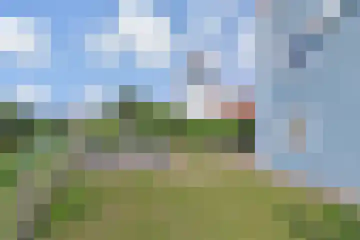 De Heeren van 's-Gravensande 77 's-Gravenzande thumbnail 35