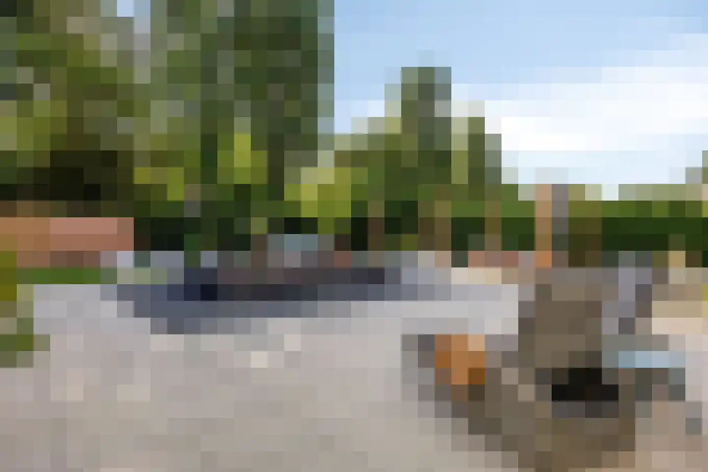 De Heeren van 's-Gravensande 90 's-Gravenzande thumbnail 5