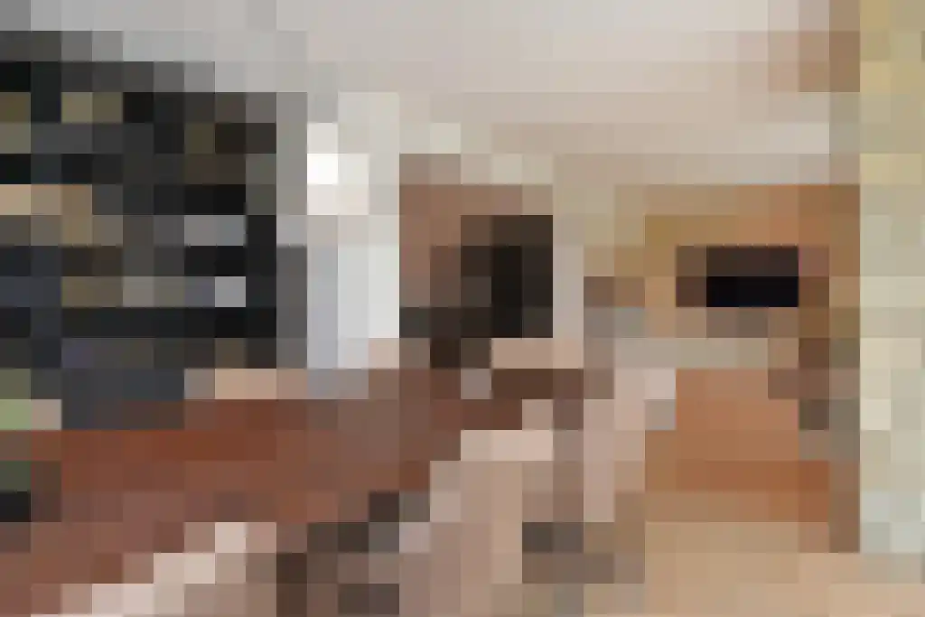 De Heeren van 's-Gravensande 91 's-Gravenzande thumbnail 13