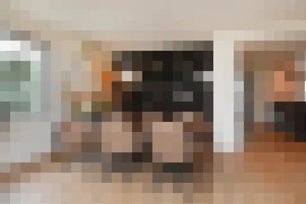 De Heeren van 's-Gravensande 91 's-Gravenzande thumbnail 15