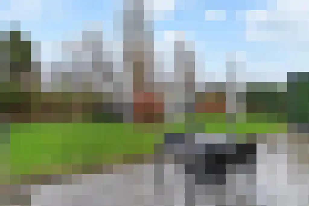 De Heeren van 's-Gravensande 91 's-Gravenzande thumbnail 17