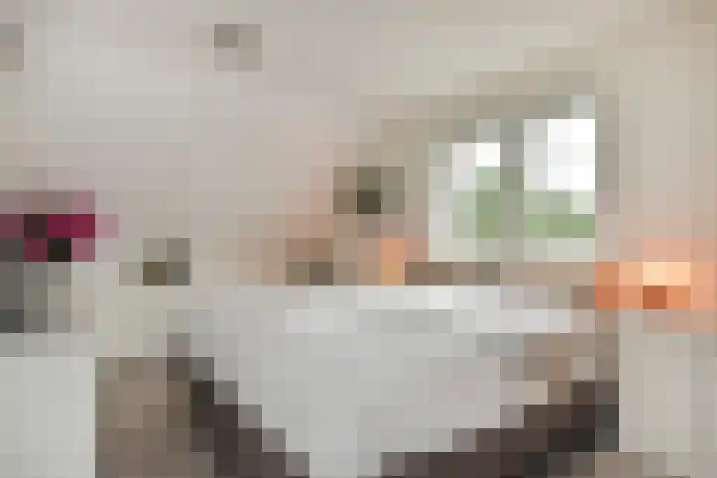 De Heeren van 's-Gravensande 91 's-Gravenzande thumbnail 57