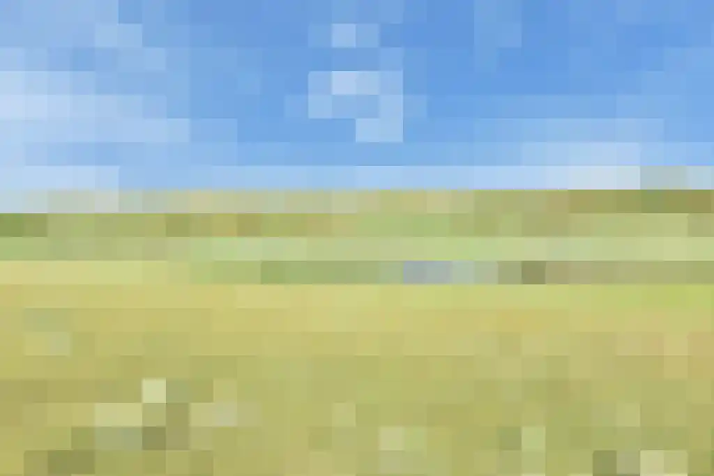 De Heeren van 's-Gravensande 91 's-Gravenzande thumbnail 64