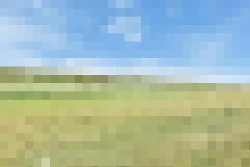 De Heeren van 's-Gravensande 91 's-Gravenzande thumbnail 65