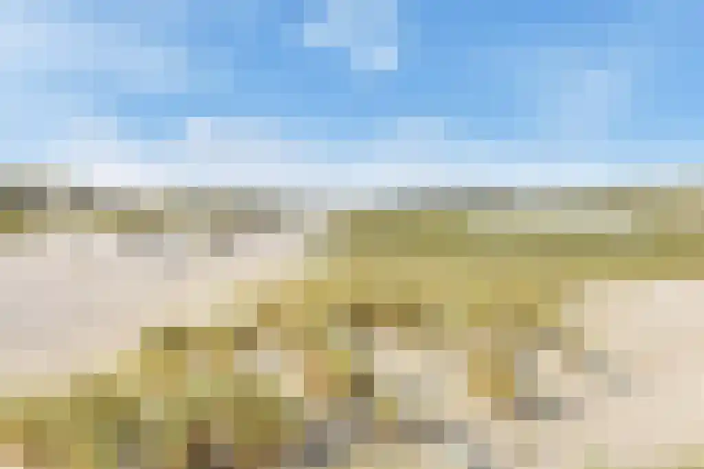 De Heeren van 's-Gravensande 91 's-Gravenzande thumbnail 68
