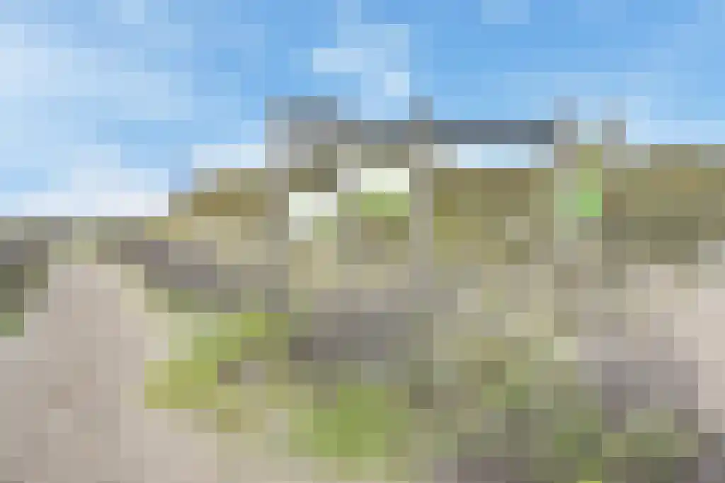 De Heeren van 's-Gravensande 91 's-Gravenzande thumbnail 71