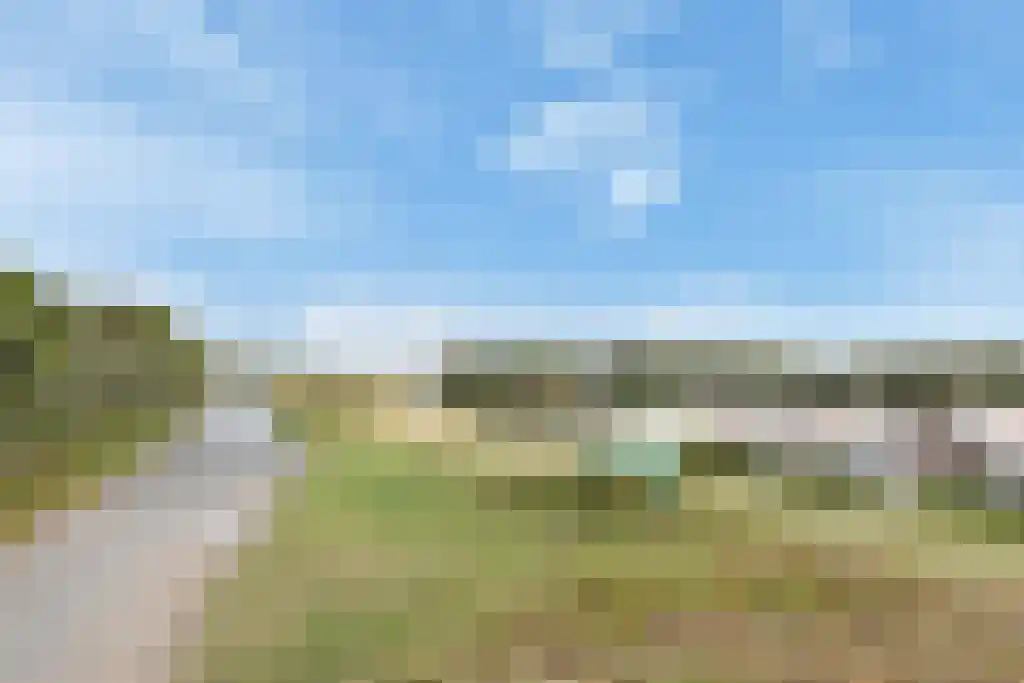 De Heeren van 's-Gravensande 91 's-Gravenzande thumbnail 74