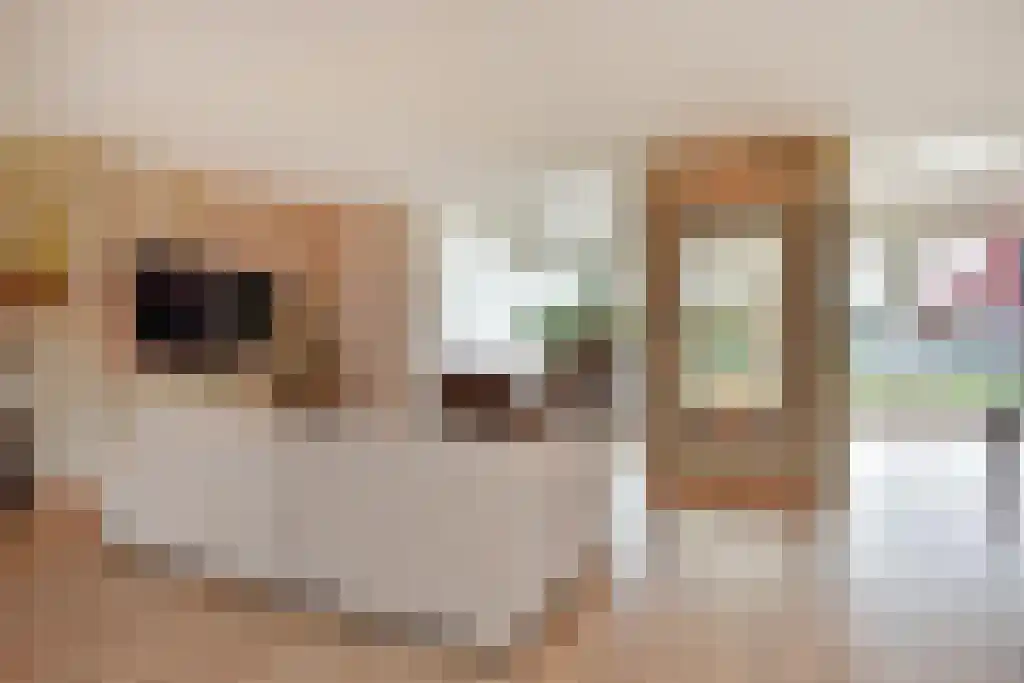 De Heeren van 's-Gravensande 91 's-Gravenzande thumbnail 8