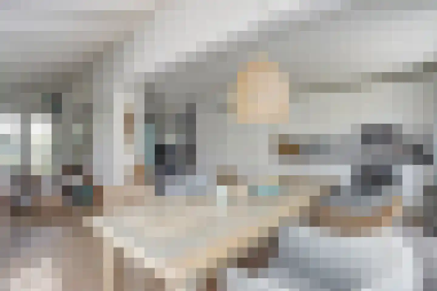 De Heeren van 's-Gravensande 95 's-Gravenzande thumbnail 13