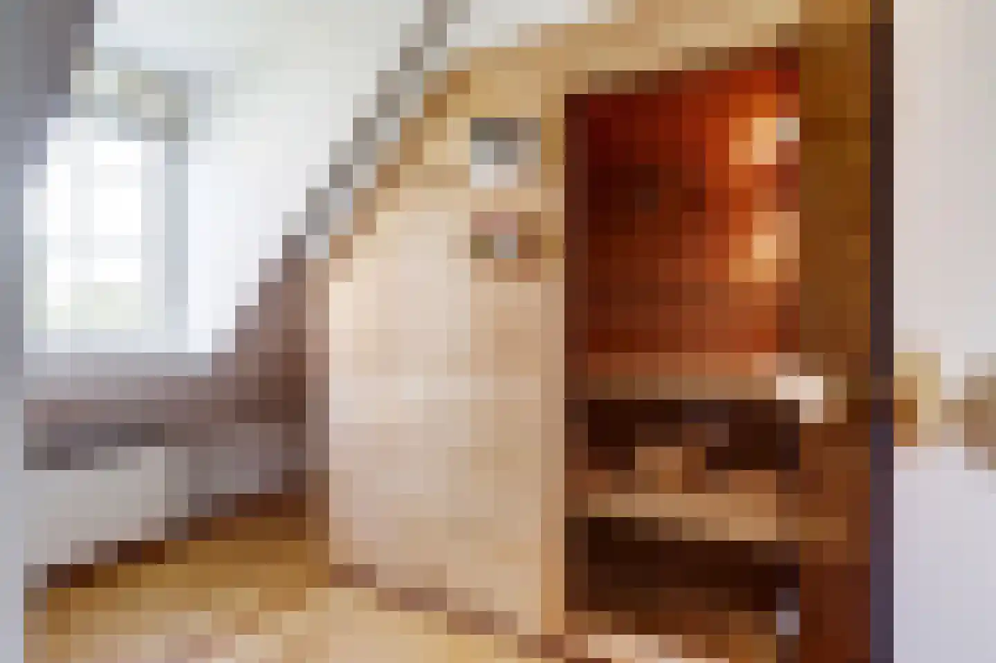 De Heeren van 's-Gravensande 95 's-Gravenzande thumbnail 19