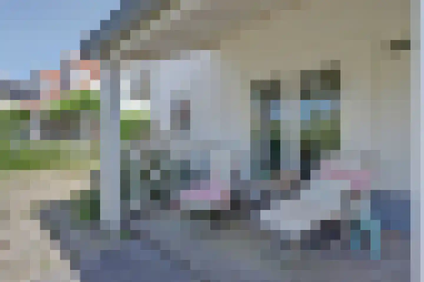 De Heeren van 's-Gravensande 95 's-Gravenzande thumbnail 26
