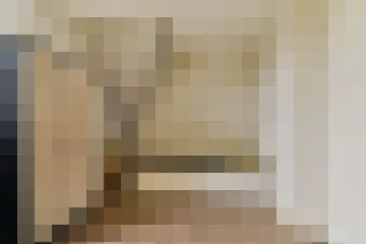 De Heerenhof 10 Hendrik-Ido-Ambacht thumbnail 22