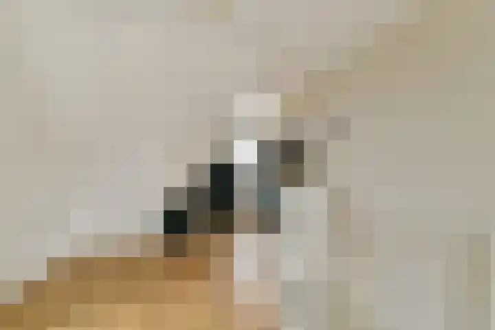 De Heerenhof 10 Hendrik-Ido-Ambacht thumbnail 24