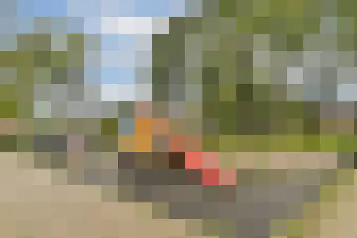 De Heerenhof 10 Hendrik-Ido-Ambacht thumbnail 29