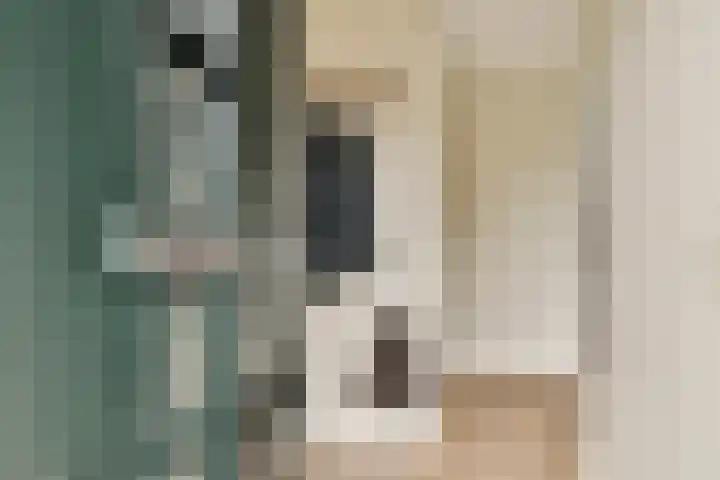 De Heerenhof 10 Hendrik-Ido-Ambacht thumbnail 5