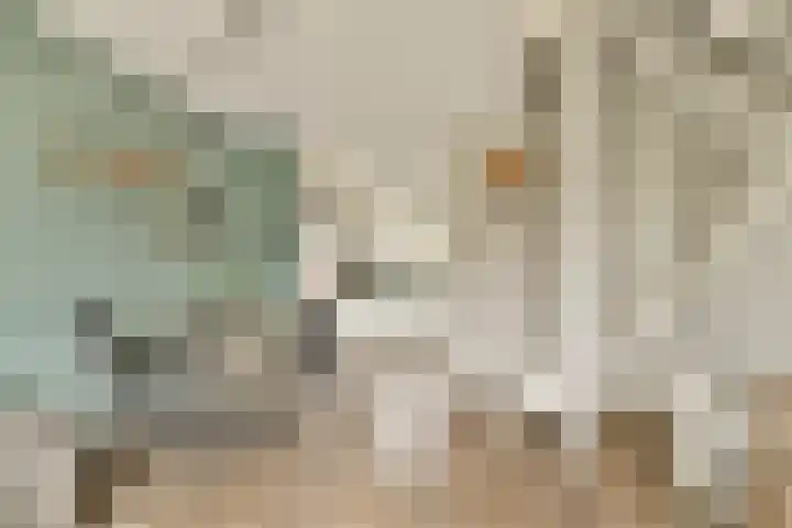De Heerenhof 10 Hendrik-Ido-Ambacht thumbnail 7