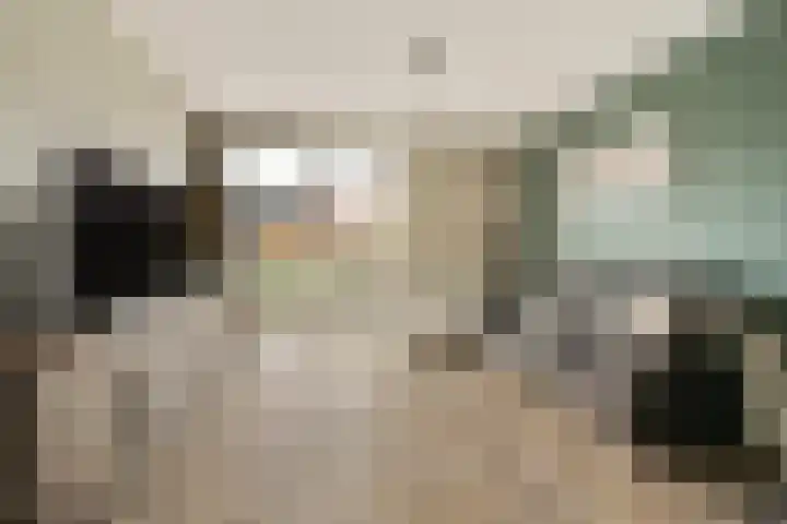 De Heerenhof 10 Hendrik-Ido-Ambacht thumbnail 8