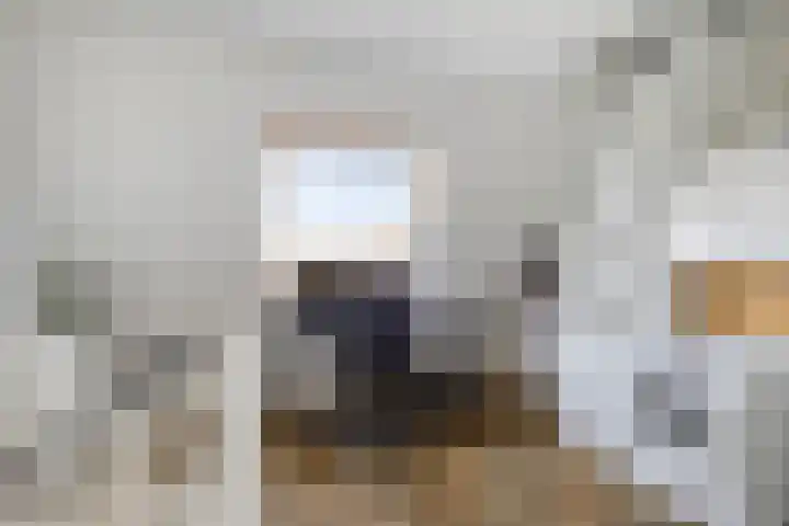 De Heerenhof 16 Hendrik-Ido-Ambacht thumbnail 30