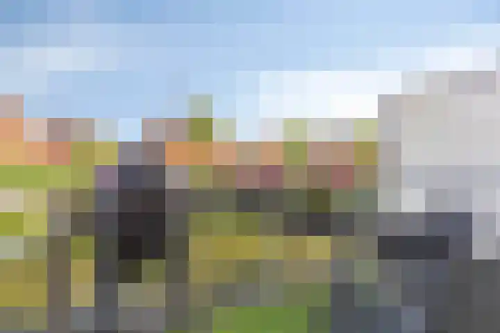 De Heerenhof 16 Hendrik-Ido-Ambacht thumbnail 4