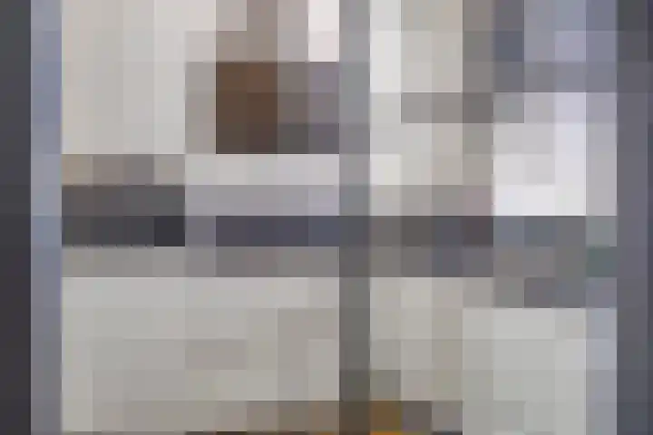 De Heerenhof 16 Hendrik-Ido-Ambacht thumbnail 6