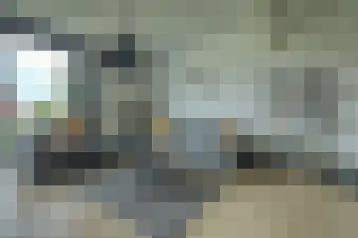 De Heerenhof 22 Hendrik-Ido-Ambacht thumbnail 6