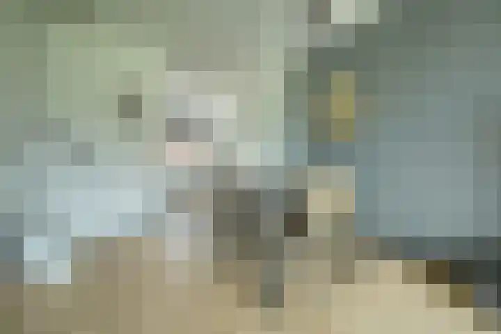 De Heerenhof 22 Hendrik-Ido-Ambacht thumbnail 8